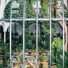 Jardin secret